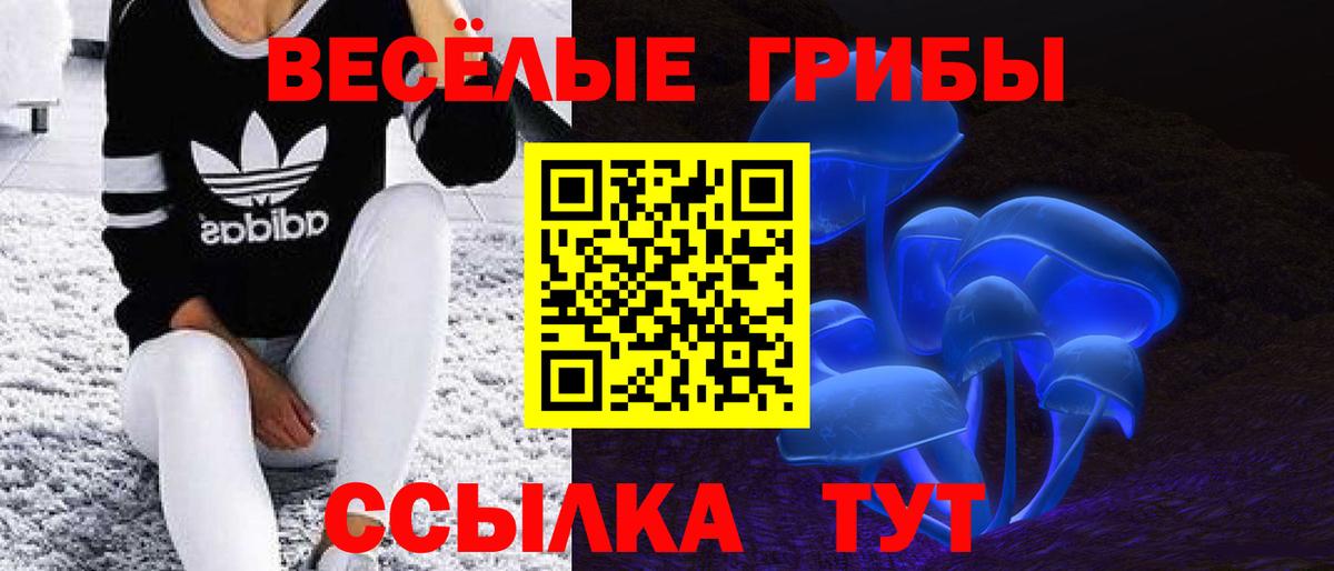 Георгиевск  Галлюциногенные грибы Magic Shrooms  Псилоцибиновые грибы GOLDEN TEACHER  Вход с VPN 