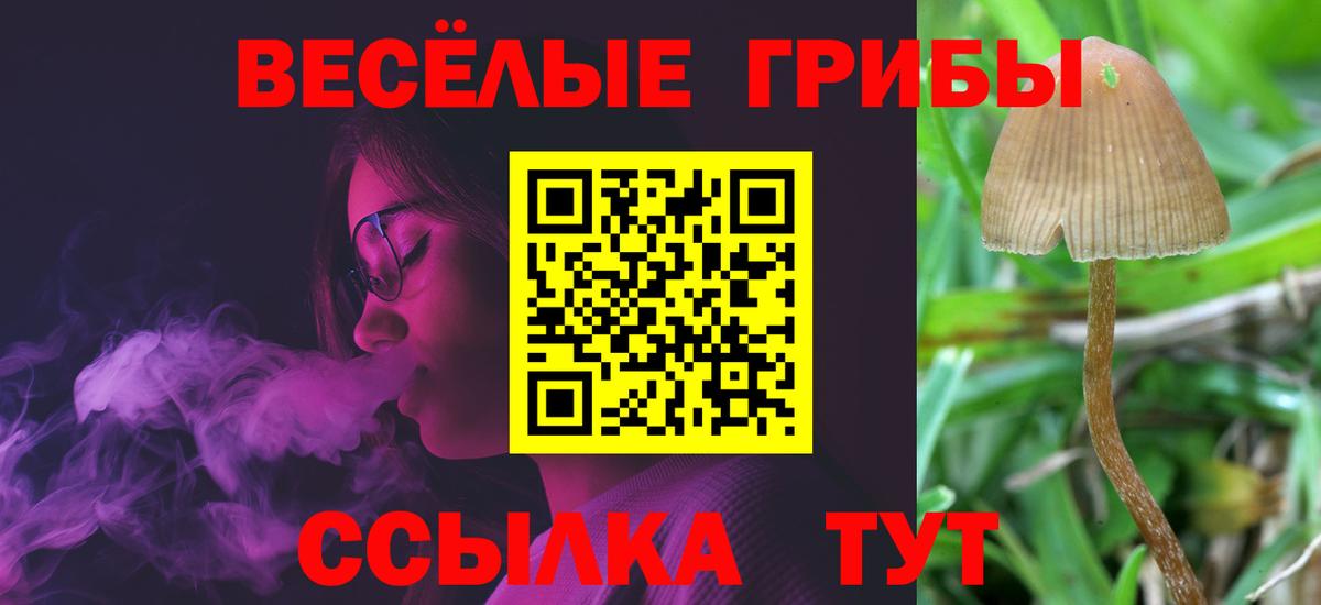 Псилоцибиновые грибы прущие грибы Георгиевск